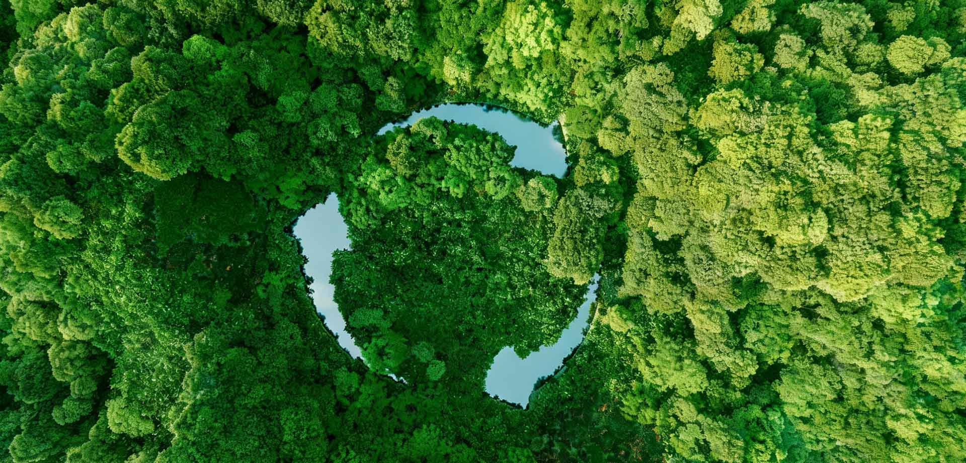 Shanghai We Pack Co., Ltd.